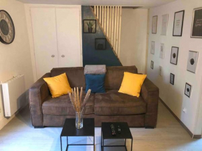 Appartement Chambery rue piétonne
